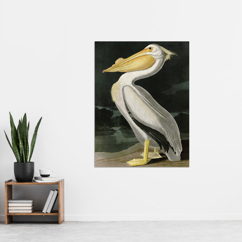 Birds White Pelican 1 Piece Wall Art