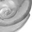 Ocean Reef Large Nautilus Shell Bowl