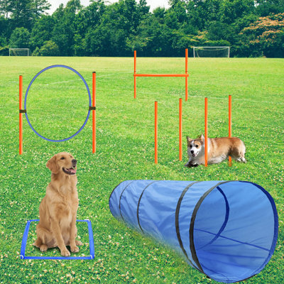 Équipement de dressage d'agilité pour chien, trousse de démarrage pour dressage d'agilité pour chien, comprenant un tunnel, 13 poteaux de tissage, un haie réglable, un anneau de saut, une boîte de pause et un sac de transport (bleu)