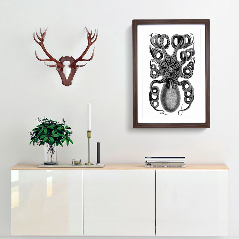 Rear of an Octopus in Black & White by George Shaw - Picture Frame Drawing Print, 48cm H x 36cm W x 2cm D, Walnut Framed