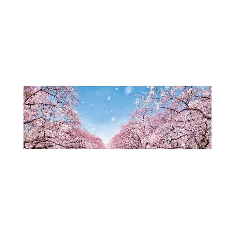 Panoramic View Of Cherry Blossom Trees In Full Bloom by Jan Becke - Wrapped Canvas Panoramic Print