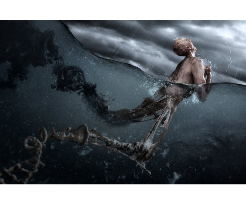 Wrapped Canvas Print, 121.92cm H x 81.28cm W