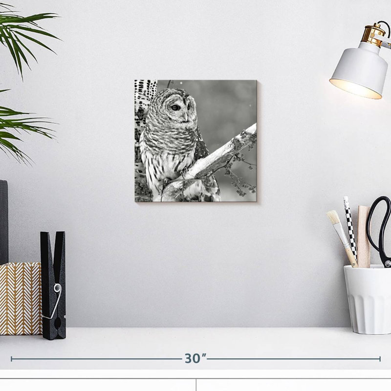 Hibou blanc Brampt BW, H 10 po x l 10 po
