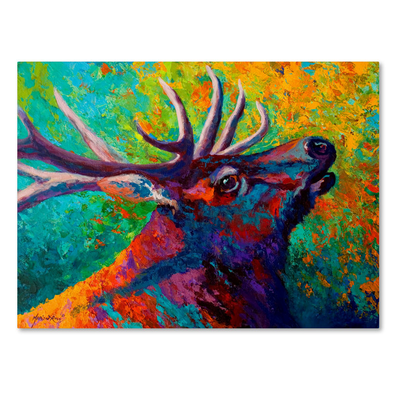 Kucera 'Echo Elk' Print on Wrapped Canvas, 35" H x 47" W