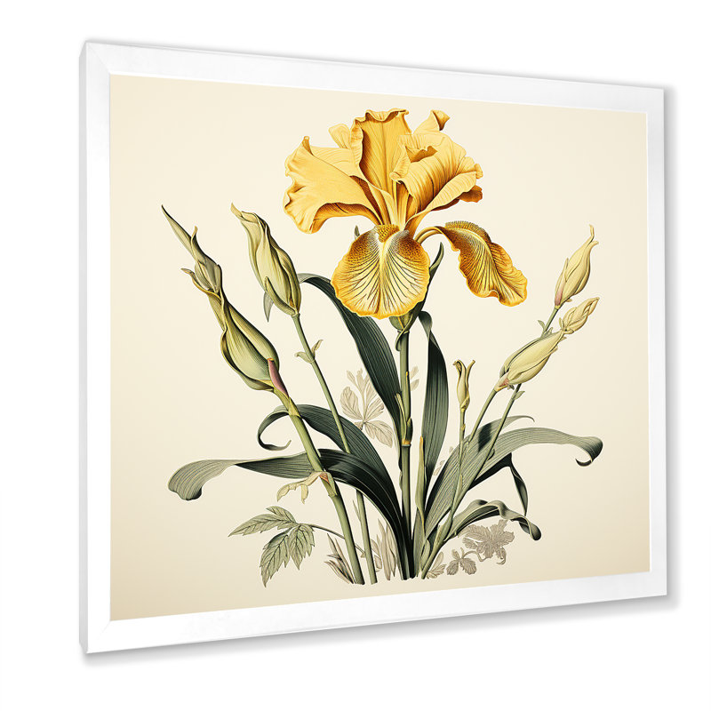 Iris jaune, illustration rétro I sur toile, Cadre simple blanc, H 16 po x l 16 po x P 1 po