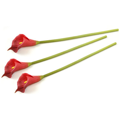 Tige de lilies fleur