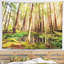 Tapisserie paysage forêt tropicale dense-28486542