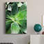 Green Tropical Succulent IV - Photographie sur toile tendue-44344519