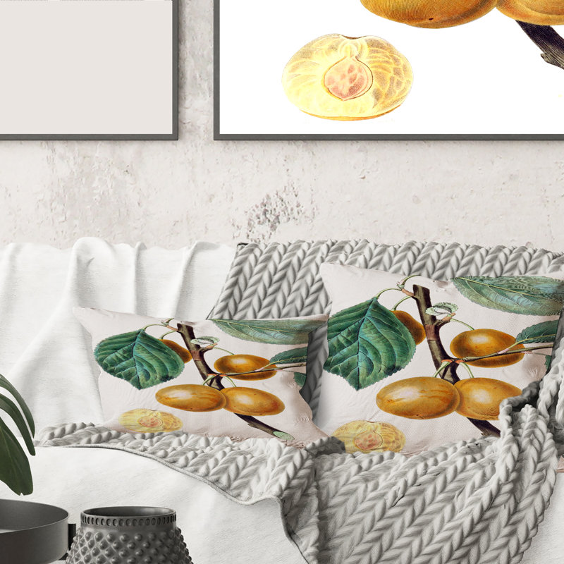 Coussin Rectangle, Vintage Fruits II - Farmhouse
