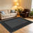 Dark Grey Borderarea rugs for Living Room, Soft and Comfortable, Suitable for all seasons, easy to maintain, machine washable Indoor floor mat, Under Table Farmhouse suitable for Bedroom, Dining Room, Study, Patio, Balcony, Home Decor-2114105778-2115637290