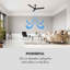122cm Ceiling Fan-1405403173