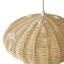 1 - Light Novelty Pendant