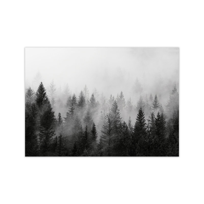 Forest - Print, No Framed, 42cm H x 30cm W x 1cm D
