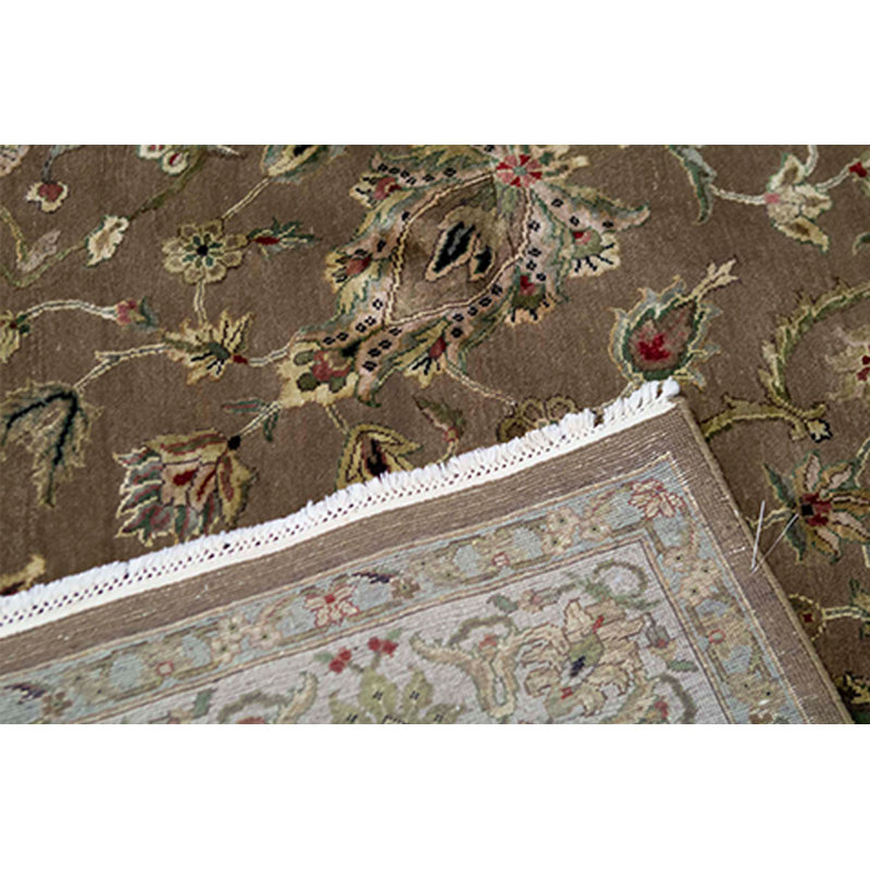 Dharma Oriental Area Rug in Brown