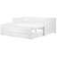 Ambrosino Solid Wood Daybed with Trundle-1625932675