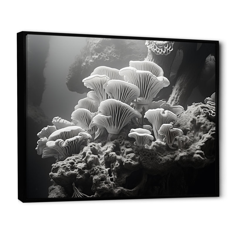 Anémone noire et blanche I sur toile, H 16 po x l 32 po x P 1 po, Cadre flottant noir