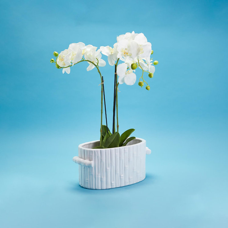 Faux Bamboo Oval Centerpiece / Cachepot With Handles