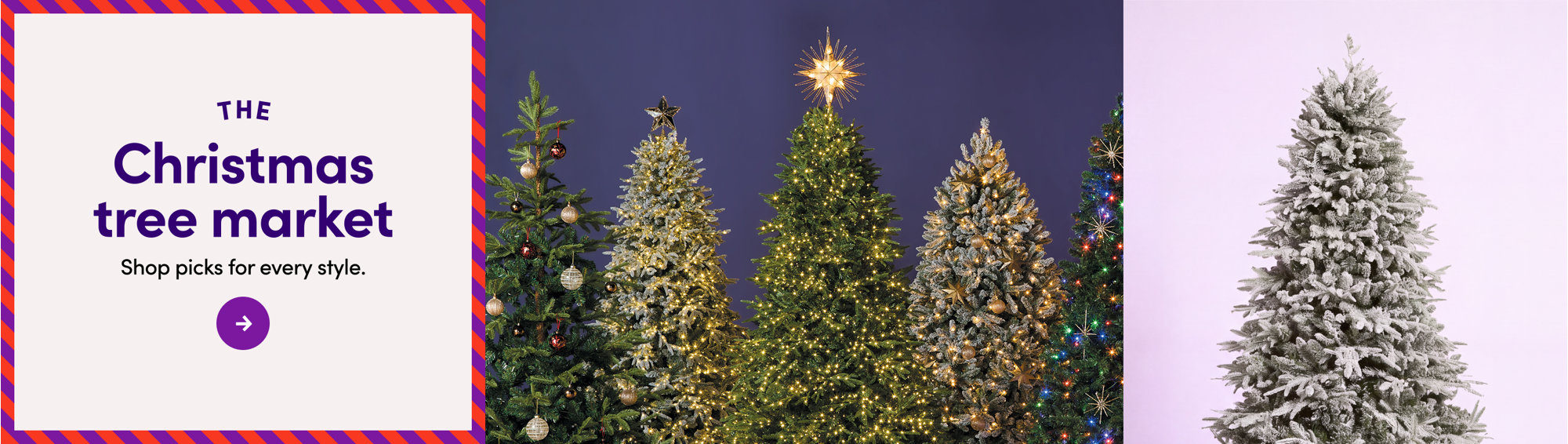 The Christmas tree market, picks for every style.