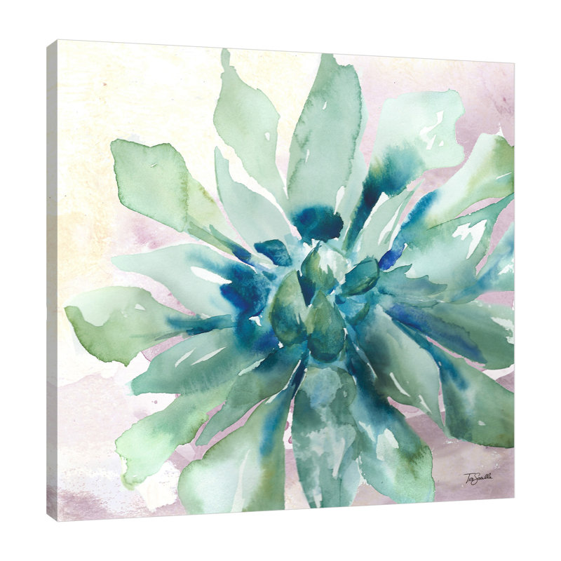 Succulent III by Tre Sorelle Studios - Wrapped Canvas Print, 91.44cm H x 91.44cm W