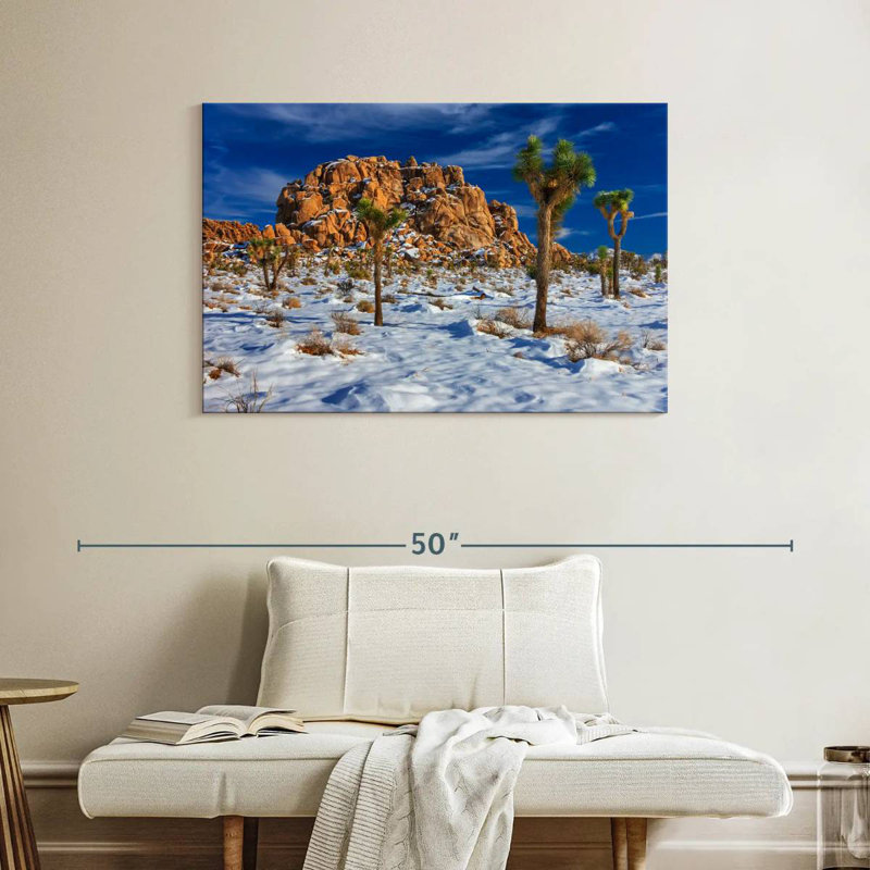 Harnek Joshua Tree National Park Winter, H 26 po x l 39 po
