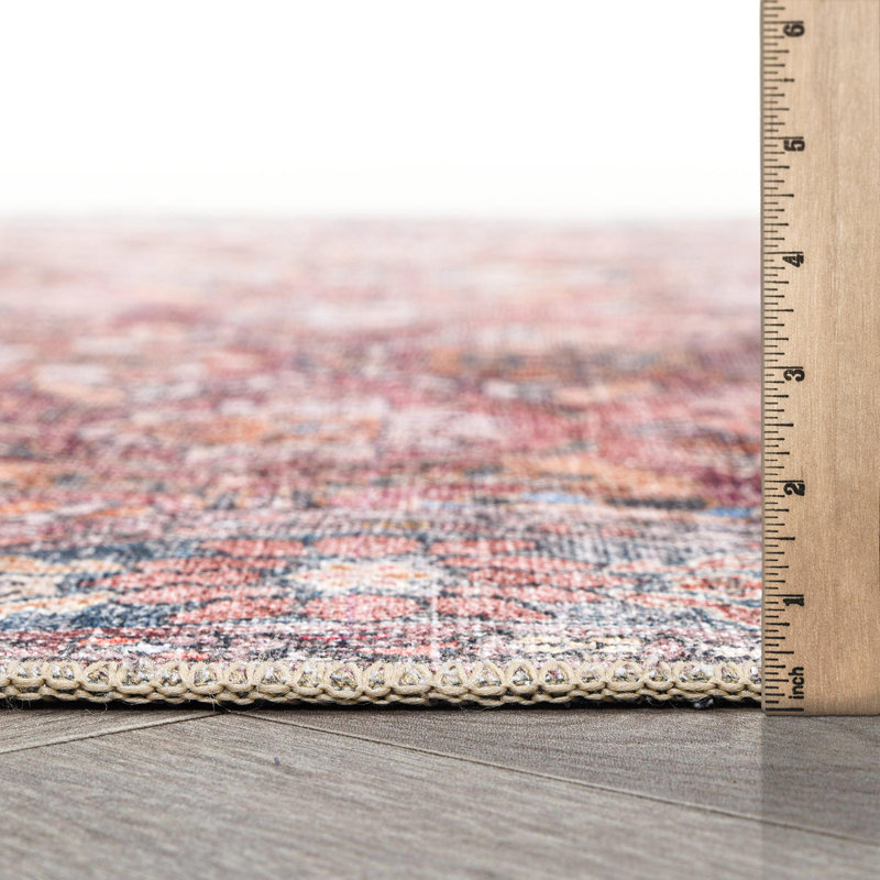 Transitional Bordered Vintage Machine Washable Non Slip Area Rug, Rectangle 2' x 3'