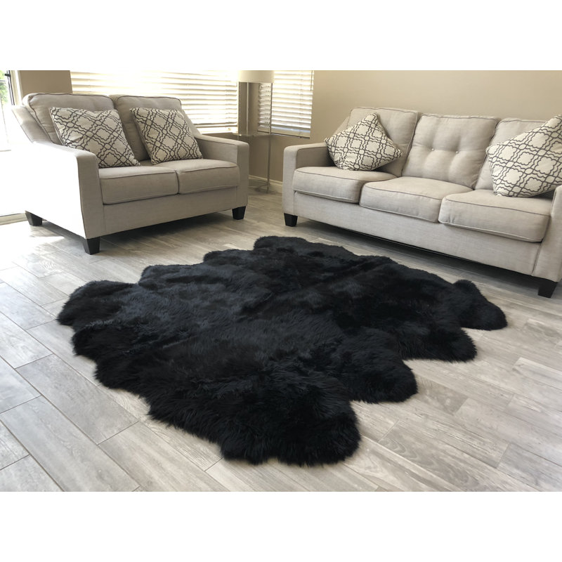 Tapis noir Wiesner, Nouveauté 6 pi x 8 pi