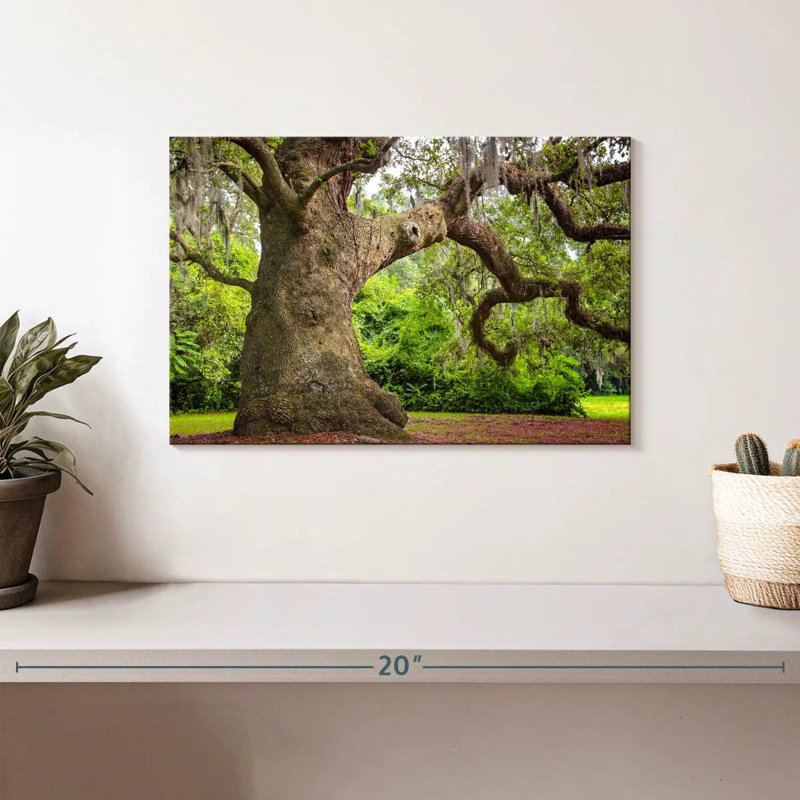 Harnek Live Oak Tree, 8" H x 12" W