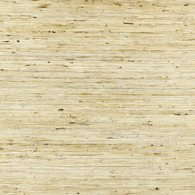 Sonota Arrowroot Wallpaper