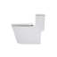Toilette monobloc en céramique pour la salle de bain, 12 pouces, 1,24 / 1,43 GPF, double chasse avec siège à fermeture en douceur, double chasse puissante CARTE 800G