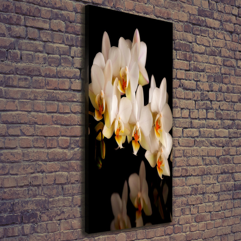 Orchid - Wrapped Canvas Print