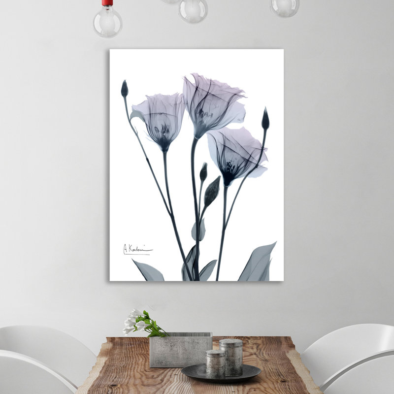 Midnight Gentian I - Wrapped Canvas Print, 46cm H x 46cm W