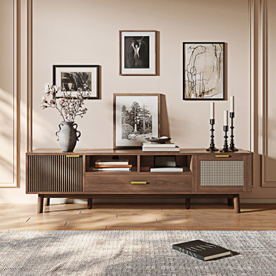 Meuble télé en bois avec porte et armoire à fermeture douce