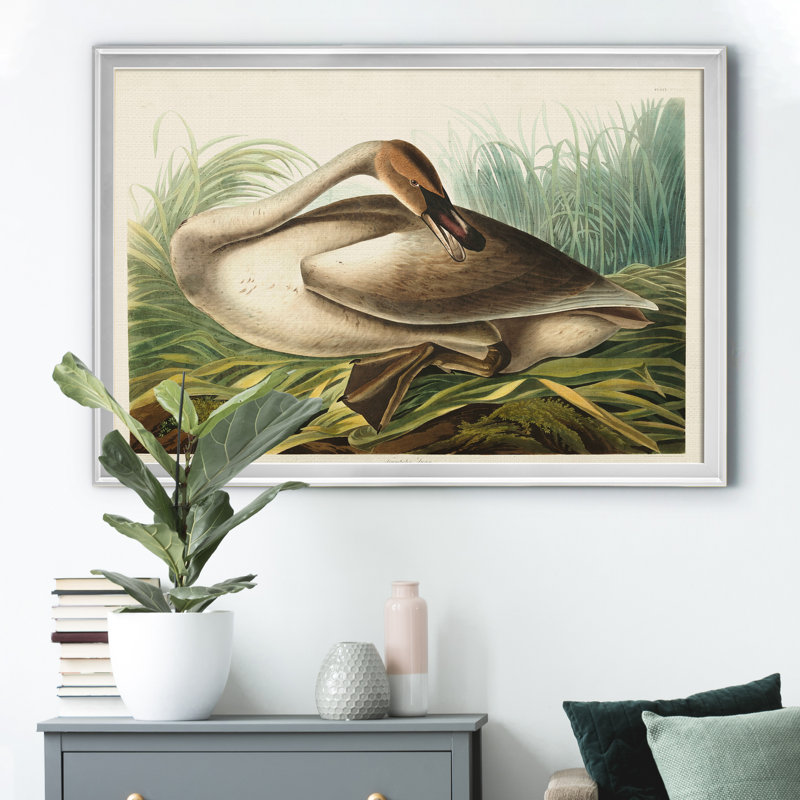Trumpeter Swan - reproduction d'art sur toile, H 26,5 po x l 36,5 po x P 1,5 po, Argent