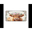 Polyester Desk Pad-886042129