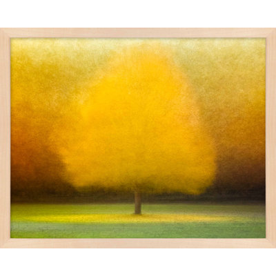 «Idyl Wood» par Laura Zimmerman - Art mural encadré