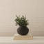 Hindi Clay Pot