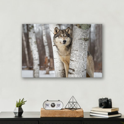 Reproduction d'art loup gris