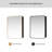 Lagos Rectangular Framed Medicine Cabinet with Mirror-108834137-108834139
