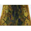 Scandinavian One-of-a-Kind 2'9x4'7 Hand Knotted Area Rug