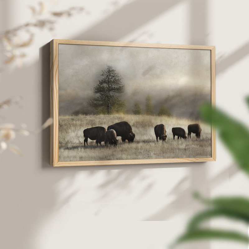 Ridge Grazing -Framed Print - Restickable, Naturel, H 8 po x l 10 po