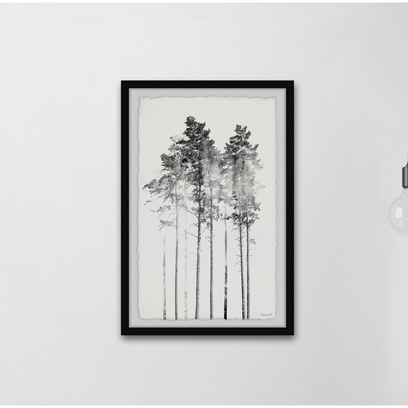 Misty Forest - Single Picture Frame Print, 45cm H x 38cm W x 3.81cm D