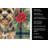 Yorkiepoo Christmas PoinsettIas Kitchen Towel-2080583779