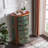 Syani Accent Chest-1146194996