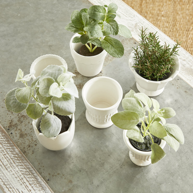 Mirabelle Ceramic Planter