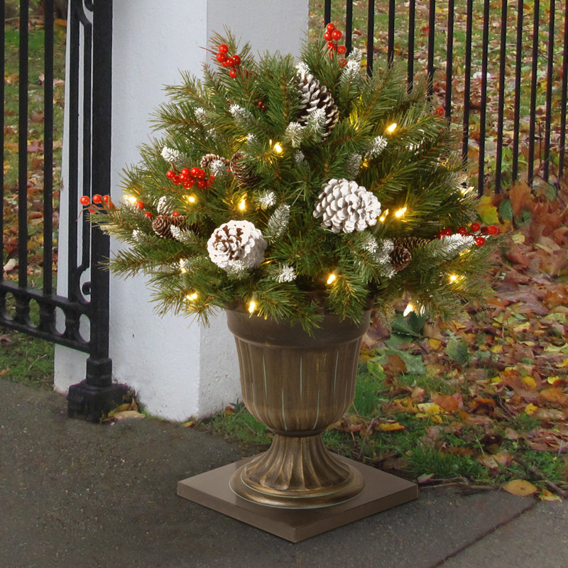 Buisson de baies givrées avec lumières claires, H 24 po x l 29 po x P 29 po