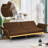 Somiya Upholstered 70'' Sleeper Sofa-111759563