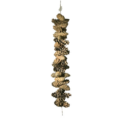 Fleur De Art 30'' in. Preserved Garland