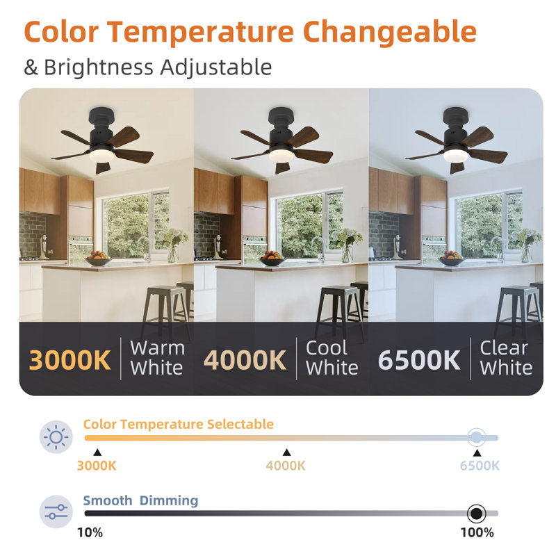 Silvya 45cm 5 - Blade E27 Socket Ceiling Fan with LED Light and Remote, Black