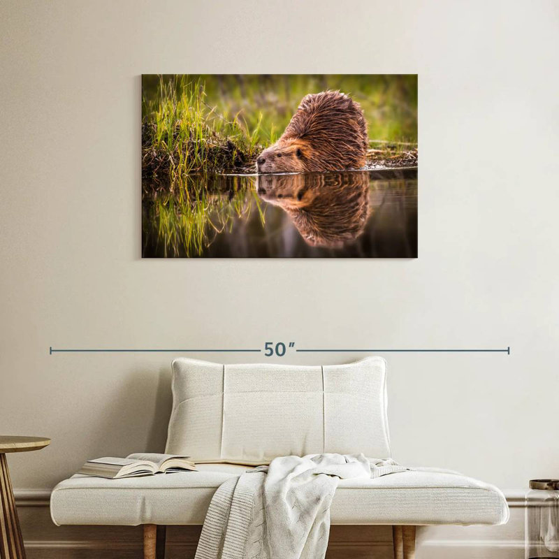 Brampt Beaver, 24" H x 36" W