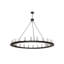 24 - Light Chandelier